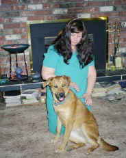 labrador/shepard cross dog sitting receiving Therapeutic Touch