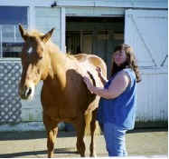 A relaxed looking horse.